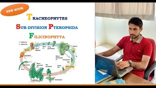 Diversity Among Plants  Lecture 11  Tracheophytes  Subdivision Pteropsida  Life Cycle of Fern [upl. by Orrocos]