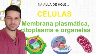 Células  Membrana plasmática  citoplasma e Organelas  Aula 03 [upl. by Chi]