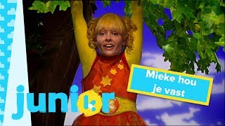 Kinderliedjes  Kaatje zingt Mieke hou je vast aan de takken van de bomen [upl. by Hay]