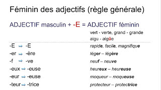 Les adjectifs – introduction  genre fémininmasculin – nombre plurielsingulier [upl. by Darnall657]