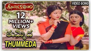 Tummeda Video Song  Super Hit Movie Srinivasa Kalyanam  Venkatesh  Bhanupriya  Gowthami [upl. by Gwenneth]