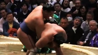 Hatsu Basho 2024 Day 4 Wakamotoharu vs Hoshoryu [upl. by Heringer384]