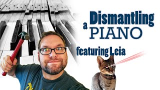 dismantling a piano feat Leia ep 29 [upl. by Sladen495]