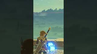 BLSS So Fun The Legend of Zelda Breath of The Wild thelegendofzeldabreathofthewild [upl. by Eirised]