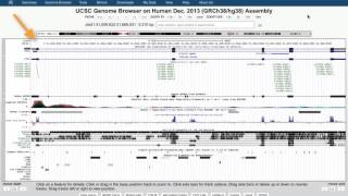 IIHG Intro to the UCSC Genome Browser  Part 1 of 5 [upl. by Aikemal]