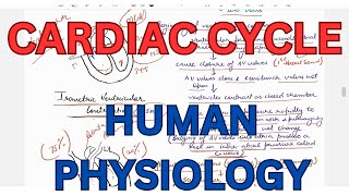 Cardiac cycle Events and Phases Pressure and Volume changes during cardiac cycle [upl. by Defant]