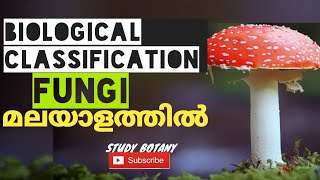 KINGDOM FUNGIBIOLOGICAL CLASSIFICATION CHAPTER 2 PART 3 MALAYALATHIL  STUDY BOTANY  NCERT SCERT [upl. by Alessandra]