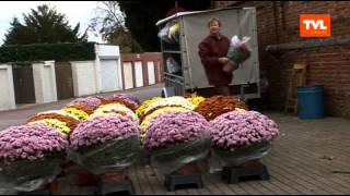 Hasselt Allerheiligen bloemenmarkt [upl. by Nyliahs202]