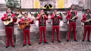 Mariachi Espuelas de Oro quotPara dejarte de Amarquot [upl. by Styles]