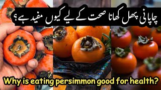 Why is eating persimmon good for healthJapani Phal k FawaidFood Benefits ArslanibnShoukat [upl. by Davy]