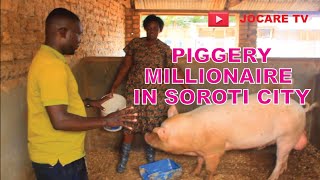 How she Started Piggery Business and became a millionaire in Africa [upl. by Ateuqram]