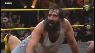 Luke Harper Finisher  Discus Clothesline [upl. by Lezley]