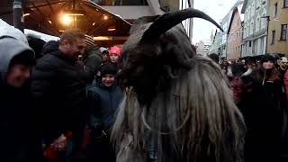 Imster Hachle Tuifl am 25112023 Krampus Umzug in Imst [upl. by Dinsmore88]