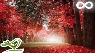 Slow Music Instrumental ROMANTIC GUITAR Slow Love Songs for Studying Calm STUDY Musik Playlist [upl. by Cohby172]