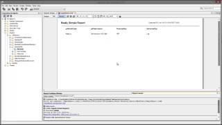 Jaspersoft Simple Report [upl. by Seldun366]