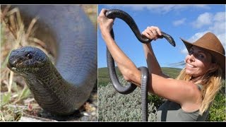 Hartbeespoort Dam Snake and Animal Park in South Africa 4k  Part2 southafrica hartbeesport 4k [upl. by Etnoled]