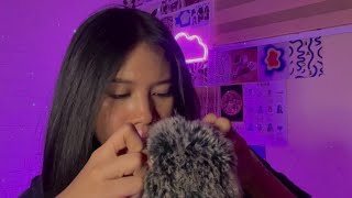 asmr lice check  bug searching 🐞🔎 lots of mouth sounds fast but not aggressive [upl. by Eidac]