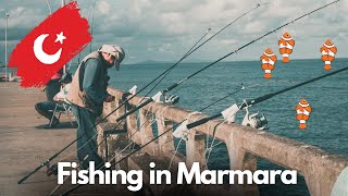 Istanbul 🇹🇷 Fishing in Marmara sea Sirkaji Unseen Istanbul TT1982 [upl. by Anna-Diane59]