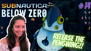 Marine Biologist plays SUBNAUTICA BELOW ZERO 14 [upl. by Krystle]