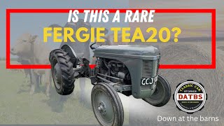 Ferguson TEA20 HOW RARE IS THIS TRACTOR  Down at the barns te20 [upl. by Rifkin867]