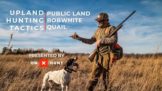 Upland Hunting Tactics with onX Public Land Bobwhite Quail [upl. by Tirma]