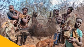 Hadzabe Tribe  Bush Pig Hunt Successful [upl. by Aleekahs192]