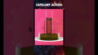 Capillary Action science physics gauravbabu gameacademy gate2025 experiment [upl. by Irtimed]