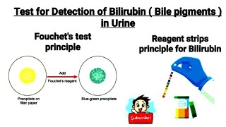 Test for Detection of bilirubin Bile pigments in urine  Fouchets test  what is bilirubinuria [upl. by Federico]