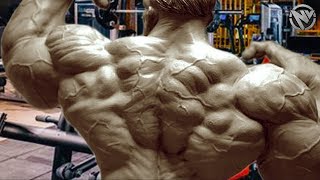 BACK DAY  BEST PREWORKOUT MOTIVATION 💥 [upl. by Lerrehs]