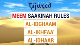 Theory Lesson 11  Meem Saakinah Rules  Tajweed Made Easy [upl. by Berns]