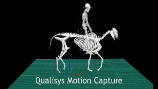 Qualisys Motion Capture of a Horse and rider [upl. by Lahey]