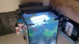 Aquael nano 30 tank set up at the Point Preschool [upl. by Hanafee51]