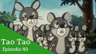 Tao Tao Episodio 49 El ratón agradecido [upl. by Aicekan]