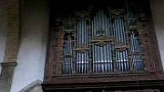 Santa Croce Pipe Organ  Florence Italy [upl. by Brawner932]