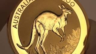 Closeup look at the 2017 Australian Kangaroo Gold Bullion Coin [upl. by Malet]