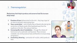 352  Achieving Homeostasis Thermoregulation [upl. by Noseimaj]