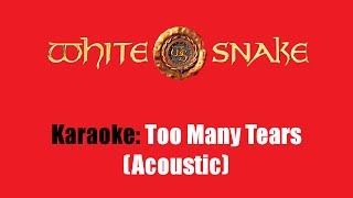 Karaoke Whitesnake  Too Many Tears Acoustic [upl. by Cliff]