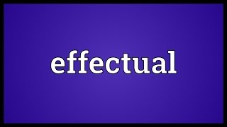 Effectual Meaning [upl. by Leban]