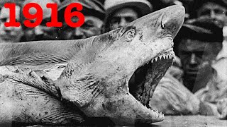 Americas First Shark Attacks Jersey Shore 1916 [upl. by Ecertal]