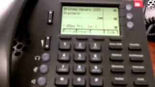 How to Use a ShoreTel IP Telephone [upl. by Osnohpla765]