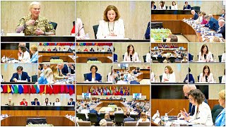 NATO Summits Women Peace and Security Roundtable in 2024 [upl. by Aimaj375]