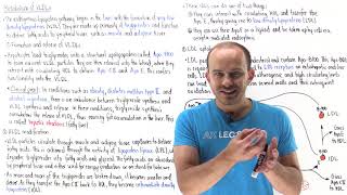 Metabolism of very lowdensity lipoproteins endogenous lipoprotein pathway [upl. by Eillime102]