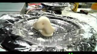 Dancing Oobleck NonNewtonian Fluid on a Speaker [upl. by Florence644]