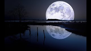 Moon River with Lyrics  Andy Williams   Music amp Lyrics [upl. by Euqinahc498]