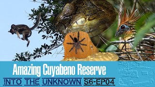 S6EP04  Ecuador  Amazing Cuyabeno Reserve  Amazon Part 2 [upl. by Jeramey]