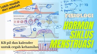 Fisiologi Hormon Siklus Mensturasi  FSH Estrogen LH Progesteron [upl. by Fern869]