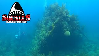 THE WRECK OF TAUNTON  SQUALUS MARINE DIVERS wreckdiving scuba bermuda [upl. by Duane]