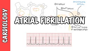 Atrial Fibrillation Overview  ECG types pathophysiology treatment complications [upl. by Acilef]