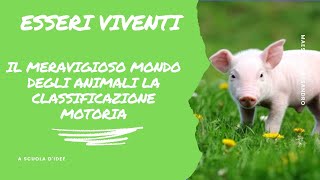 COME SI ADATTANO GLI ANIMALI NELLAMBIENTE IN CUI VIVONO  video didattico per la scuola primaria [upl. by Clementis]