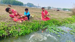 Fishing Video🐬🐬 Traditional woman fishing in the village canal  fish catching videoBest hook trap [upl. by Byrom]